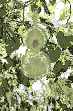 水粉畫(huà)葫蘆