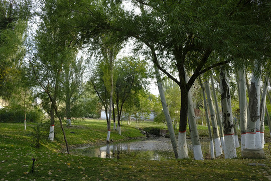 漢人街濕地公園