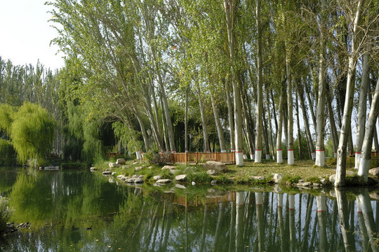 公園