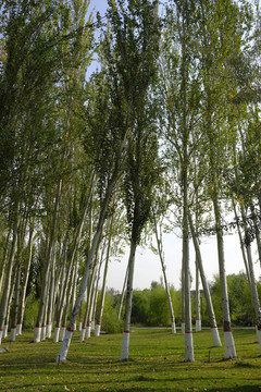 公園