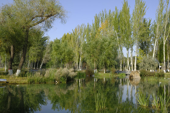 濕地公園