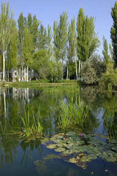 濕地公園