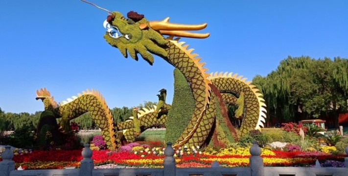 國慶花壇中國龍