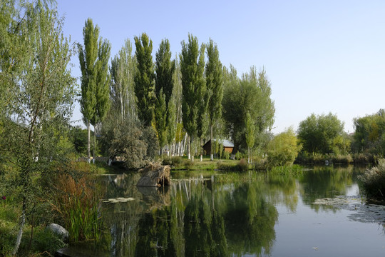城市公園