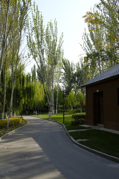 公園小路