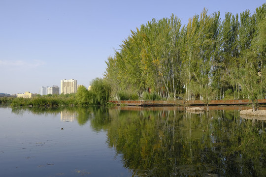城市濕地