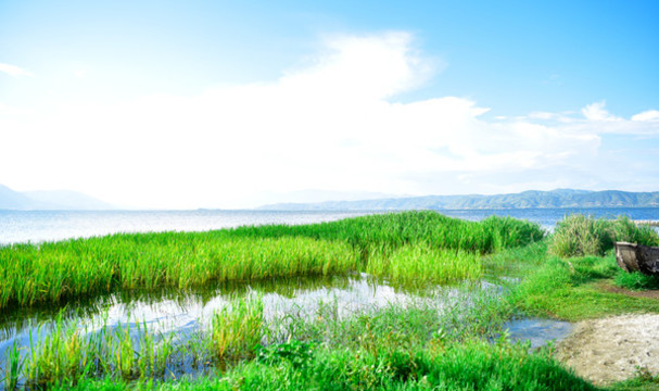 海舌公園