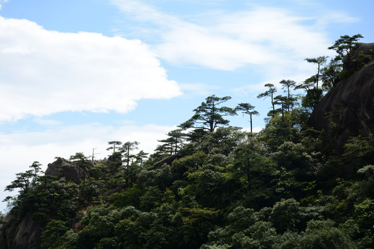 山嶺