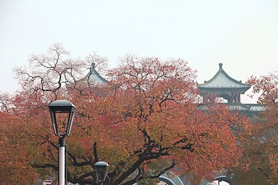 玄武湖公園
