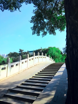 橋
