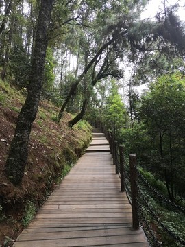 中國(guó)遠(yuǎn)征軍