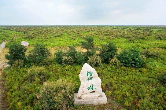 昌邑風(fēng)光