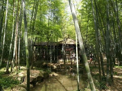 竹林小屋