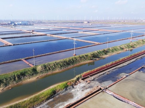 萊州土山鹽廠
