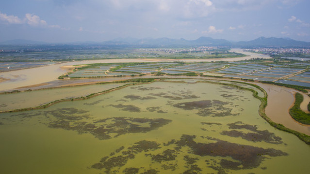 濕地公園