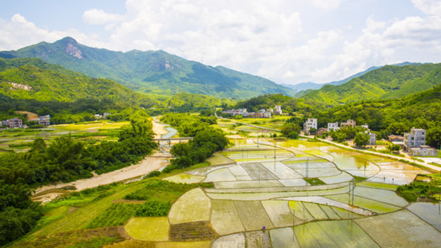 綠色家園