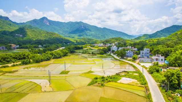 田園風(fēng)光