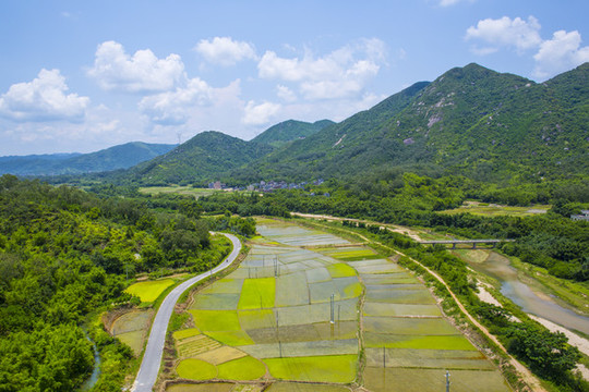 田野風(fēng)光