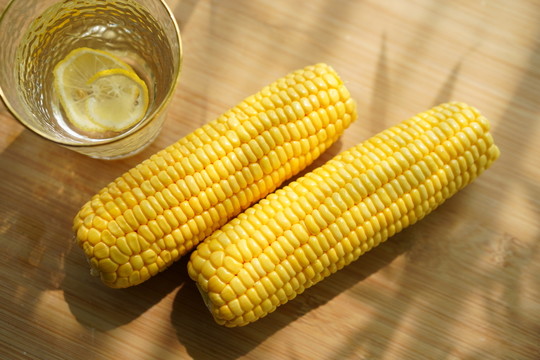 玉米