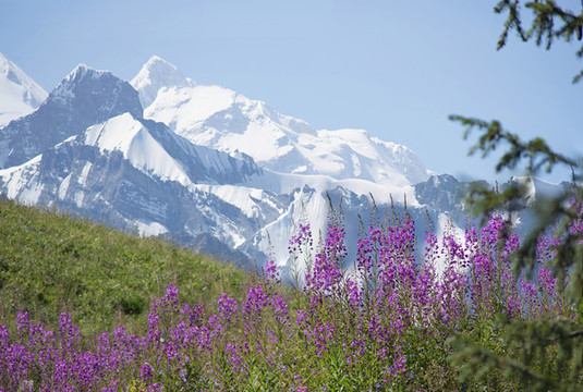 山峰
