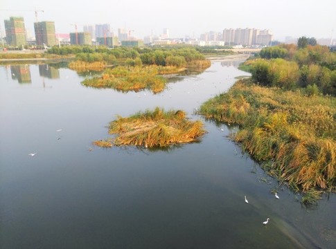 萊州濕地公園