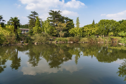 湖池塘秋景