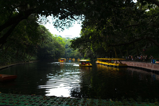 公園游船