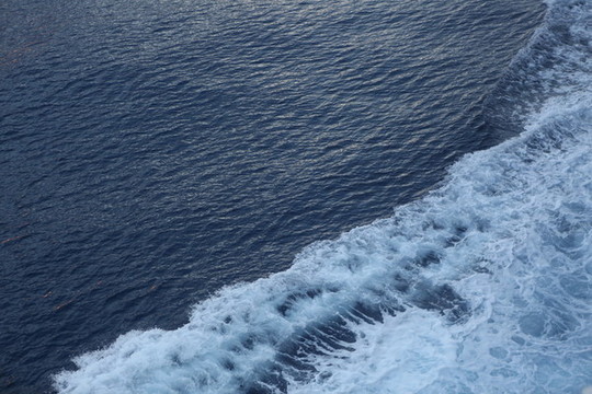 海