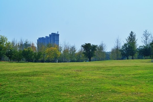 公園草地