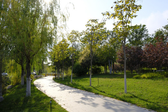 公園小路