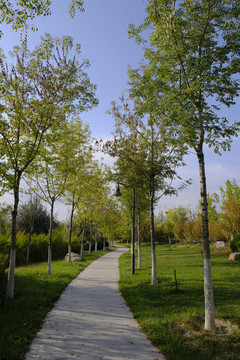 公園小路