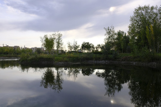 濕地公園