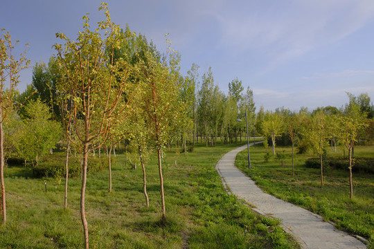 景觀路
