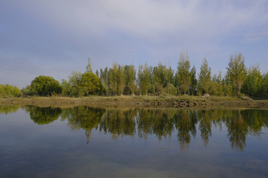 濕地公園