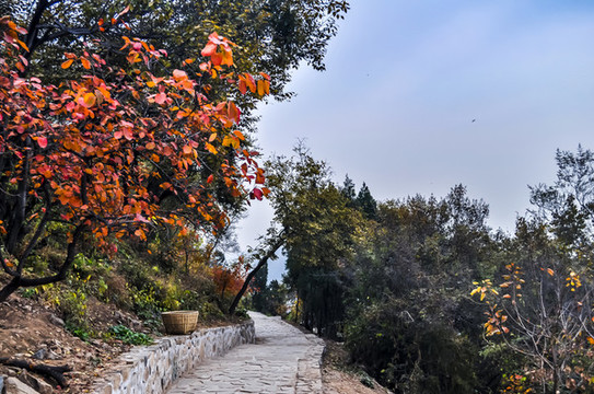 北京香山公園景區(qū)景觀
