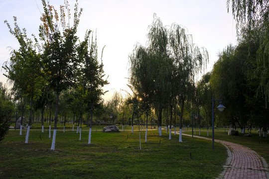 景觀路