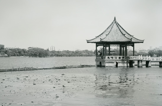 大明湖
