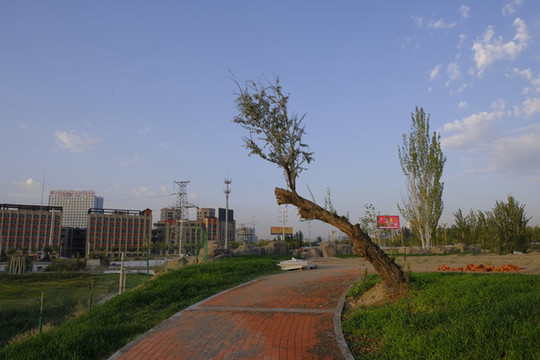 伊寧文化公園