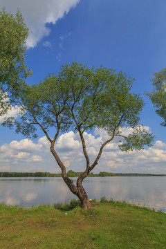 公園園林