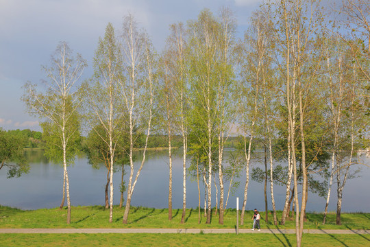 湖泊公園