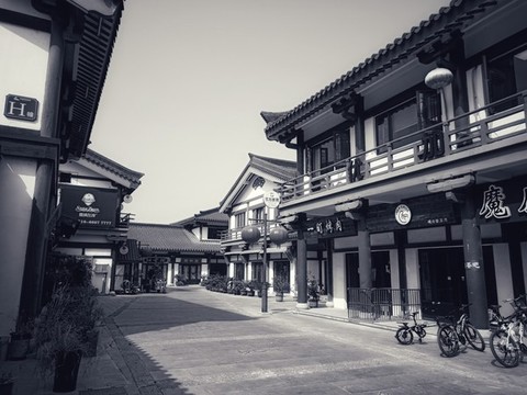 大榆樹(shù)