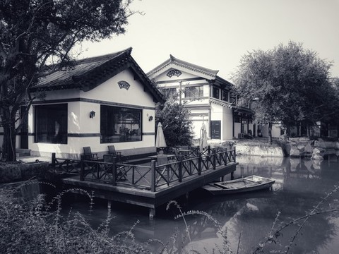 大榆樹