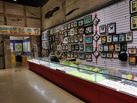 蝴蝶主題展廳
