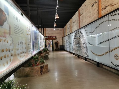 蝴蝶展廳主題背景