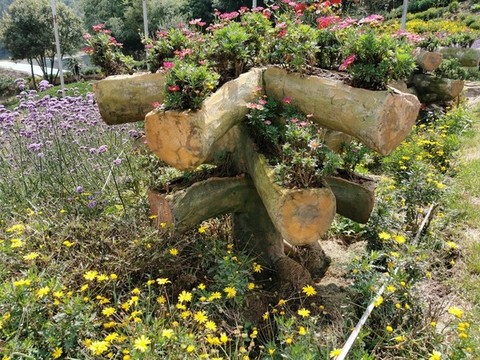 仿真樹枝花箱
