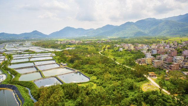 灘涂養(yǎng)殖