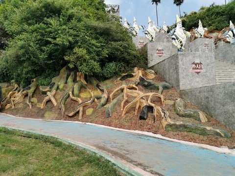 塑根紋理