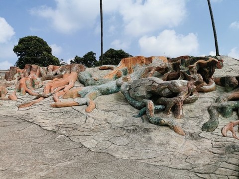 塑根紋理