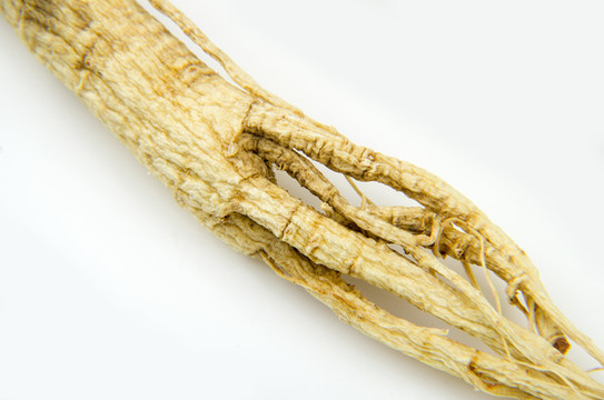 養(yǎng)生長(zhǎng)白山人參