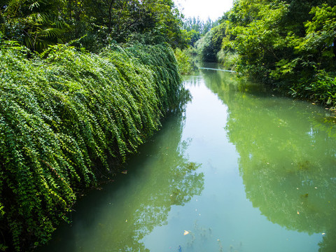 公園景色湖面